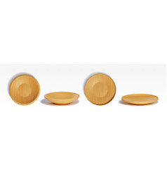 3d Wood Plate Top View Wooden Round Food Bowl