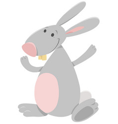 Cartoon Cute Rabbit Animal Character