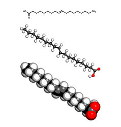 Elaidic Acid Trans Fatty Acid Molecular Model