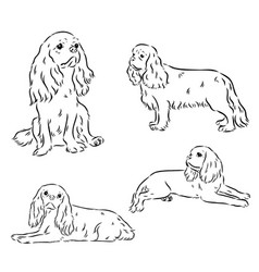 Cavalier King Charles Dog Image Silhouette