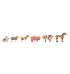 Set Of Farm Animals Rabbit Sheep Goat Pig Cow