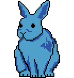 Rabbit With Pixel Art