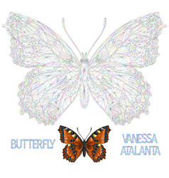 Butterfly Vanessa Atalanta Beautiful Meadow