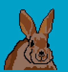 Rabbit With Pixel Art