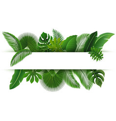 Sign With Text Space Of Tropical Leaves