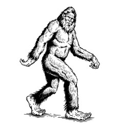 Sasquatch Yeti Bigfoot Walking