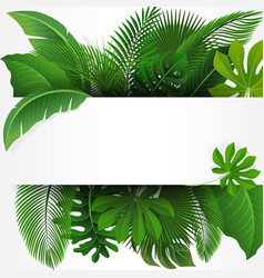 Sign With Text Space Of Tropical Leaves