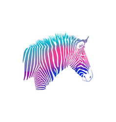 Rainbow Zebra