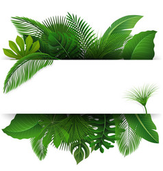 Sign With Text Space Of Tropical Leaves