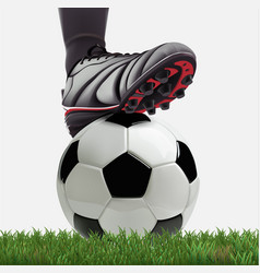 Soccer Ball With Football Player Feet On Grass