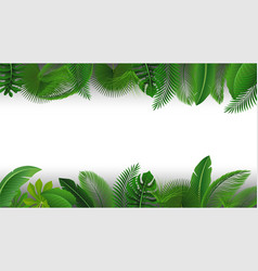 Background With Text Space Of Tropical Leaves