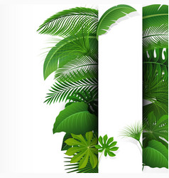 Sign With Text Space Of Tropical Leaves