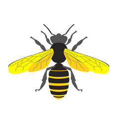 Honey Bee Symbol