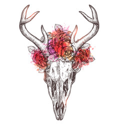 Sketch Deer Skull With Flowers Wreath