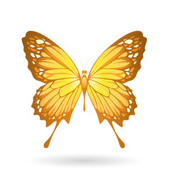 Yellow Butterfly