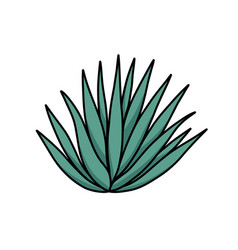 Agave Doodle Icon Color Line