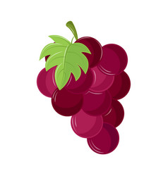 Grapes Fruit Icon