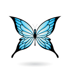 Blue And Black Butterfly With Pointed Wings