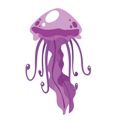 Purple Jellyfish Swimming Sealife