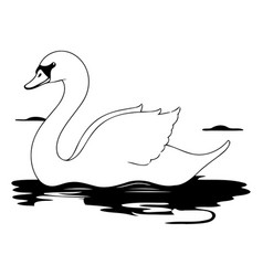 White Swan On The Water In Flat Style