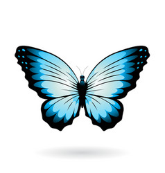 Blue And Black Butterfly With Round Wings