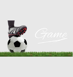 Soccer Ball With Football Player Feet On Grass