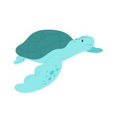 Turtle Animal Swimming