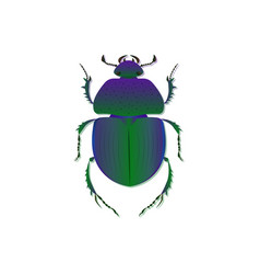 Trypocopris Vernalis Green Beetle Art Isolated