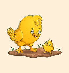 Cartoon Chicken And Chicks