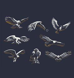 Set eagles Royalty Free Vector Image - VectorStock