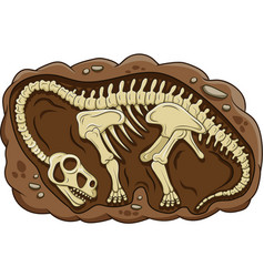 Cartoon Dinosaur Fossil