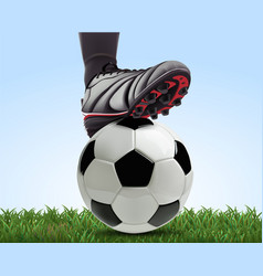 Soccer Ball With Football Player Feet On Grass