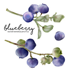 Set Blueberry Branch In Water