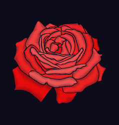 Embroidery Rose Design