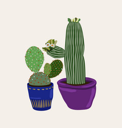 Isolated Of Cactuses In Pots