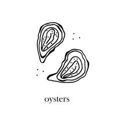 Fresh Oysters In Shells Seafood Hand-drawn