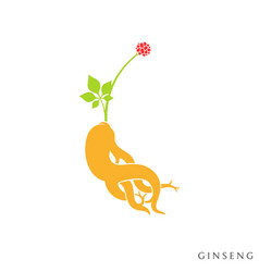 Red Ginseng