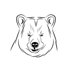 Head Bear Animal Free Spirit Symbol