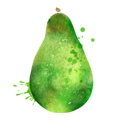 Watercolor Of Avocado