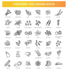 Condiment Icons Set