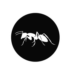 Ant Icon