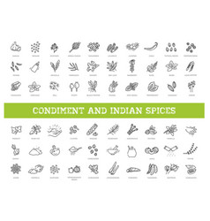 Indian Spices Condiment Icons Set