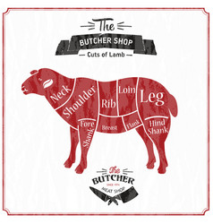 Lamb Or Mutton Cuts Diagram Butcher Shop