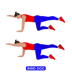 Man Doing Bird Dog Exercise For Core