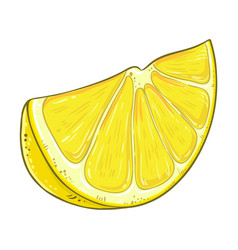 Lemon Fruit Colored Detailed