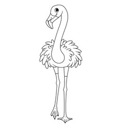 Cartoon Bird Greater Flamingo Coloring Page