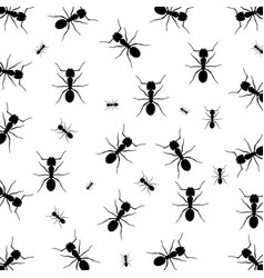 Ant Background