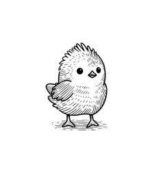 Cute Little Chicken Hand Drawn Ink Sketch