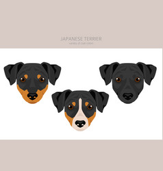 Japanese Terrier Clipart Different Poses Coat