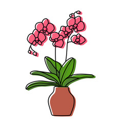 Potted Orchid Sketch Indoor Flower In A Pot